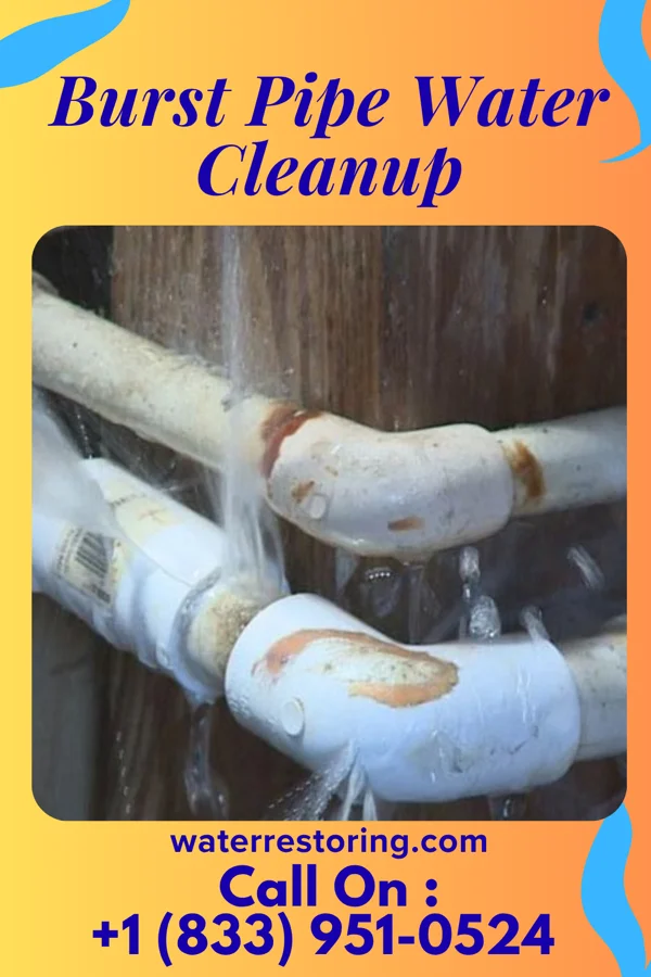 Burst Pipe Water Cleanup in Carter, TX