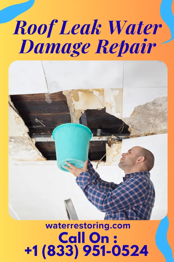 Roof Leak Water Damage Repair in Carter, TX