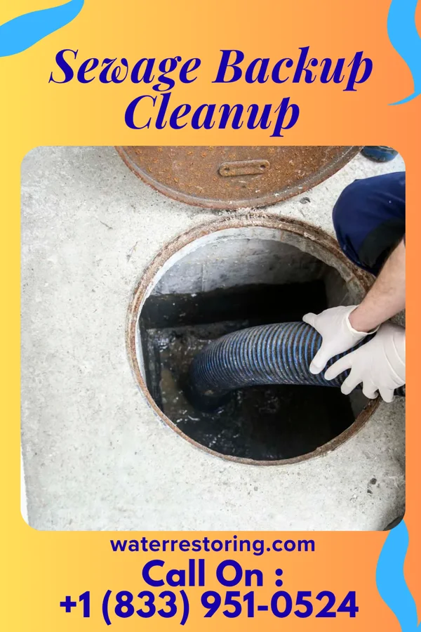 Sewage Backup Cleanup in Carter, TX